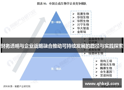 财务透明与企业战略融合推动可持续发展的路径与实践探索
